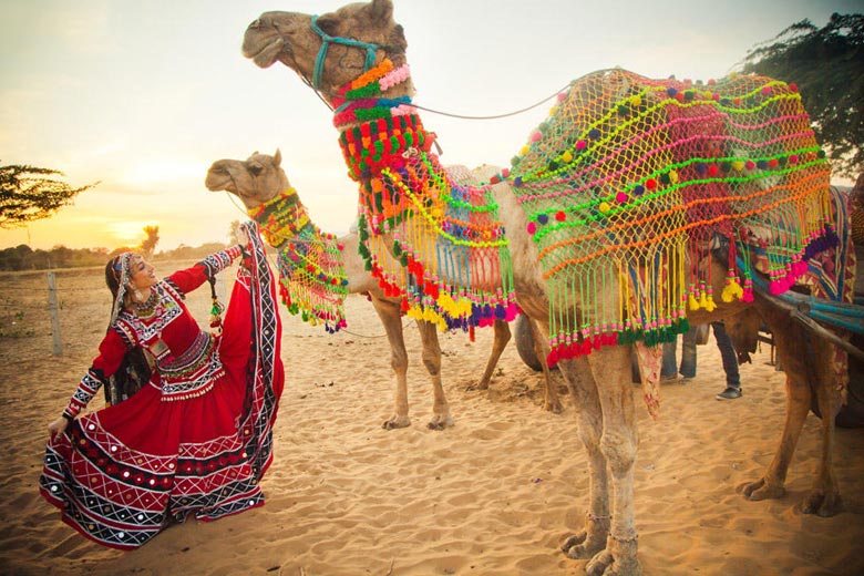splendours of rajasthan