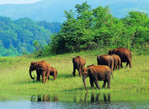 south india