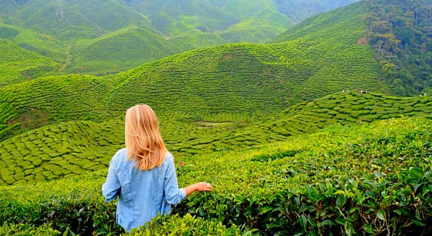 hill station tour