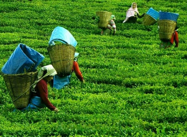 sikkim meghalaya tour