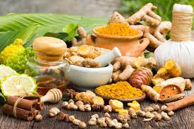 ayurveda tour